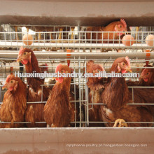 Tipo de escada kenya frango fazenda venda quente camada aviária bateria gaiolas para galinhas